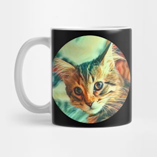 Furry floppy cat Mug